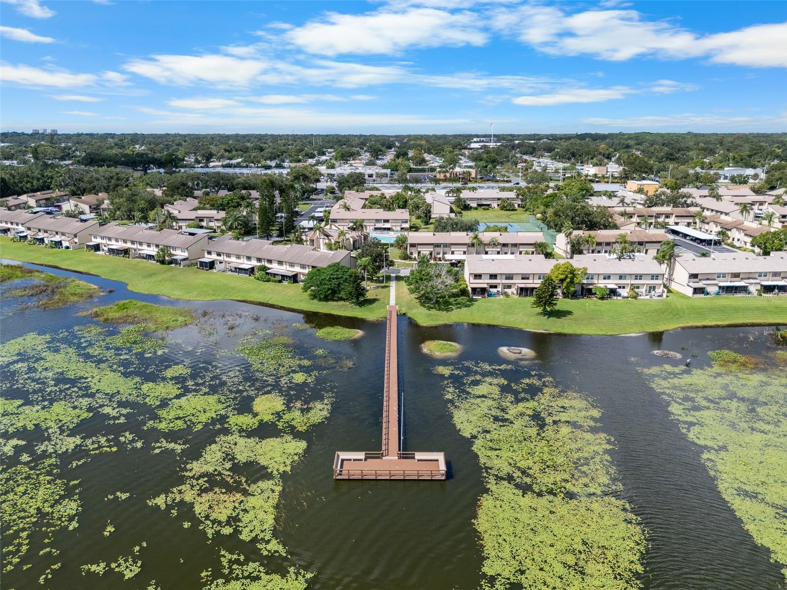 TOWNHOMES OF LAKE SEMINOLE - Residential