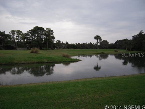 Golf Villas At Turnbull Bay Unit 01 - Residential