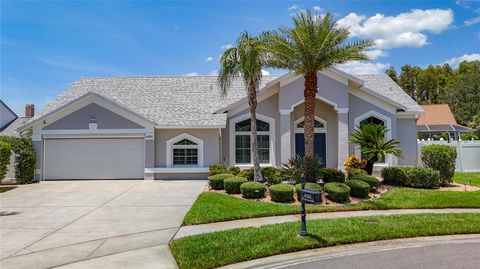 Photo of 4105 Angel Wing Court, Lutz, FL 33558 (MLS # W7887919)