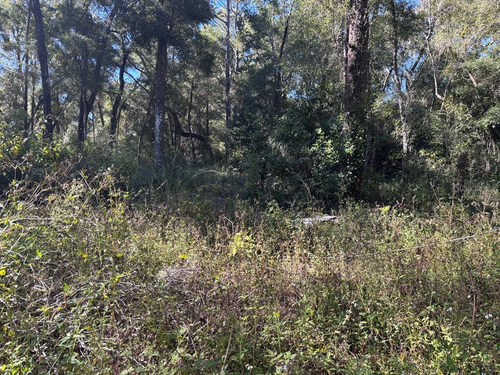 NOT IN SUBDIVISION - Residential