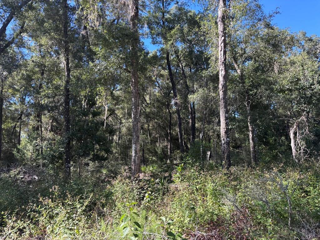 NOT IN SUBDIVISION - Residential