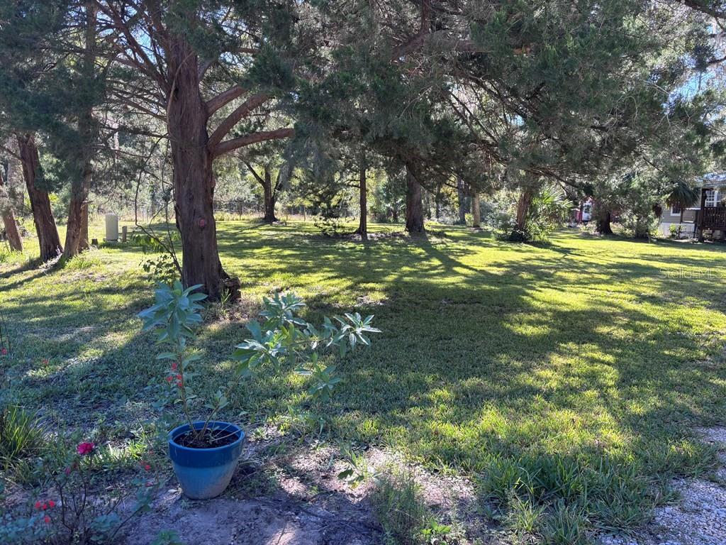 NOT IN SUBDIVISION - Residential