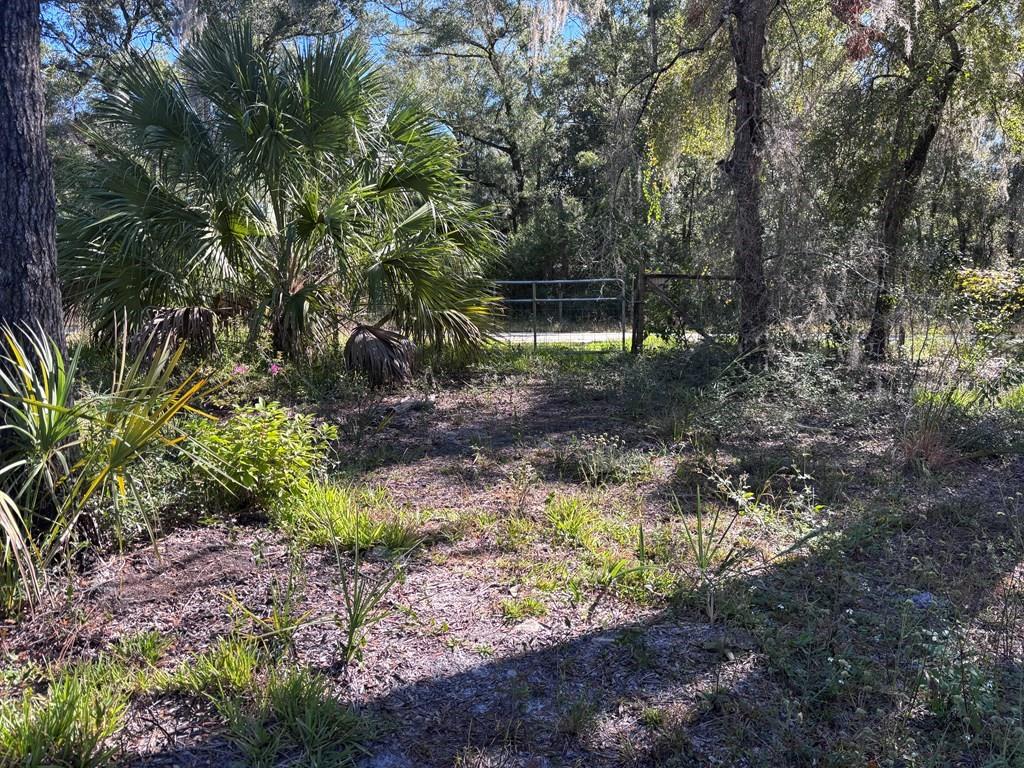 NOT IN SUBDIVISION - Residential