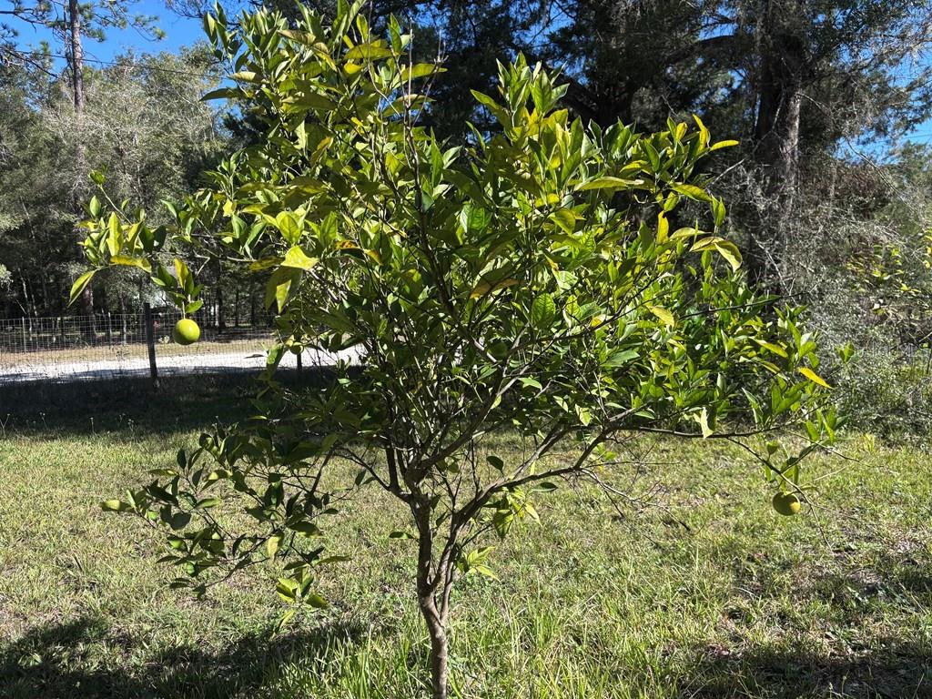 NOT IN SUBDIVISION - Residential