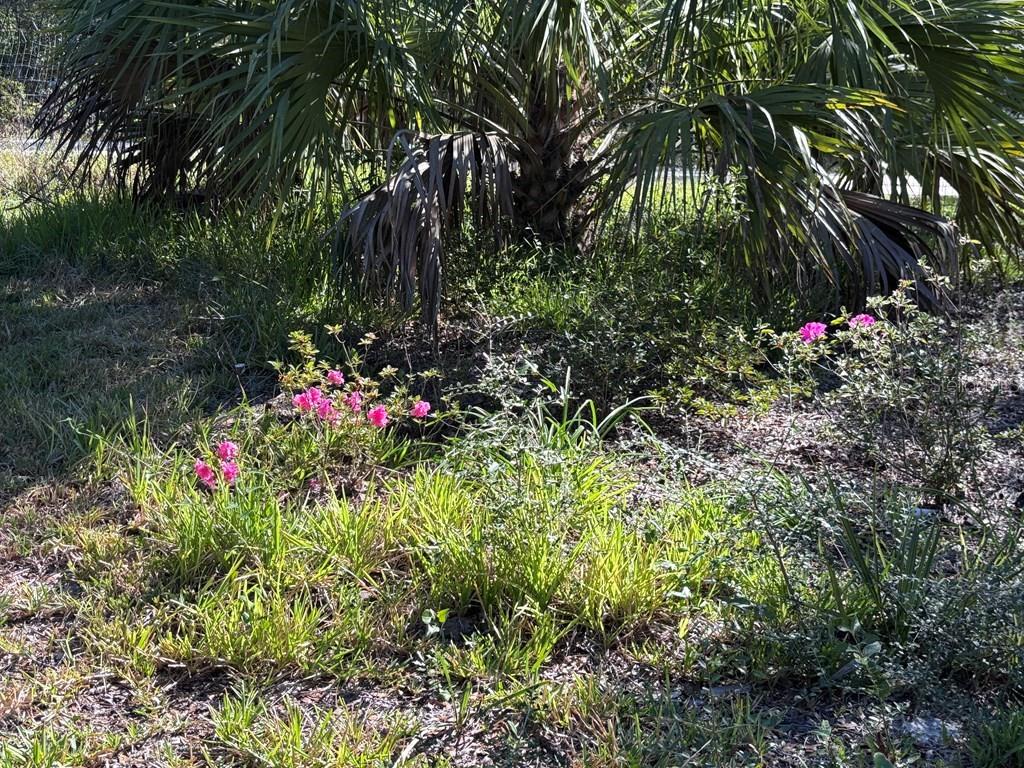 NOT IN SUBDIVISION - Residential