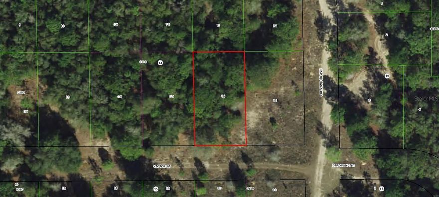 Investor Opportunity in Inverness Acres! Secure a strong foothold in one of Florida’s fastest-growing markets. Nine buildable lots are available in Inverness Acres—priced at $17,000 each or offered as a discounted package at $125,000. Citrus County is seeing record housing demand, making this an attractive play for long-term appreciation or future development. Inverness offers an ideal mix of affordability, lifestyle appeal, and strategic location, with easy access to Ocala, Tampa, and Orlando. Opportunities at this price point in Florida are becoming increasingly rare—act now.