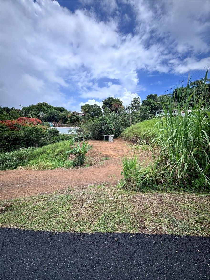 Excelente oportunidad! Bo. Guadiana Camino Colon - 3 LOTES DE 762M2, 903m2, y 1,066m2 para un total de 2,731 m2. A solo 5 minutos de los Palacios!


Coordenadas 18.314347,-66.218622