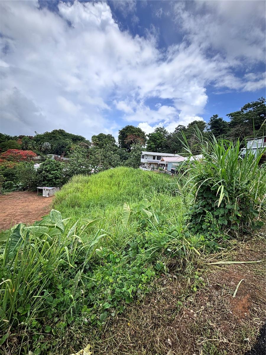 BARRIO GUADIANA - Land