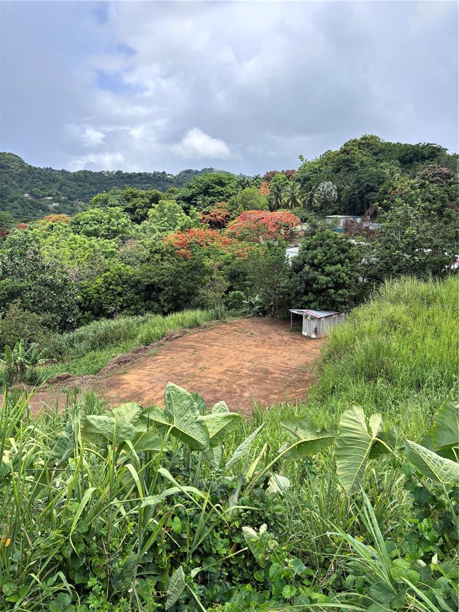 BARRIO GUADIANA - Land