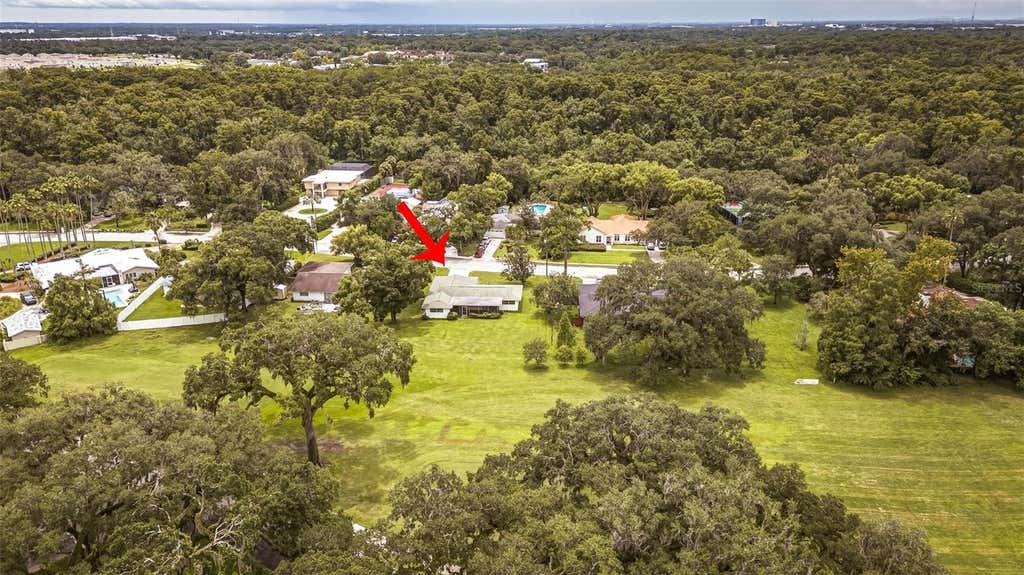 Photo of 936 N Riverhills Drive, Temple Terrace, FL 33617 (MLS # TB8535651)
