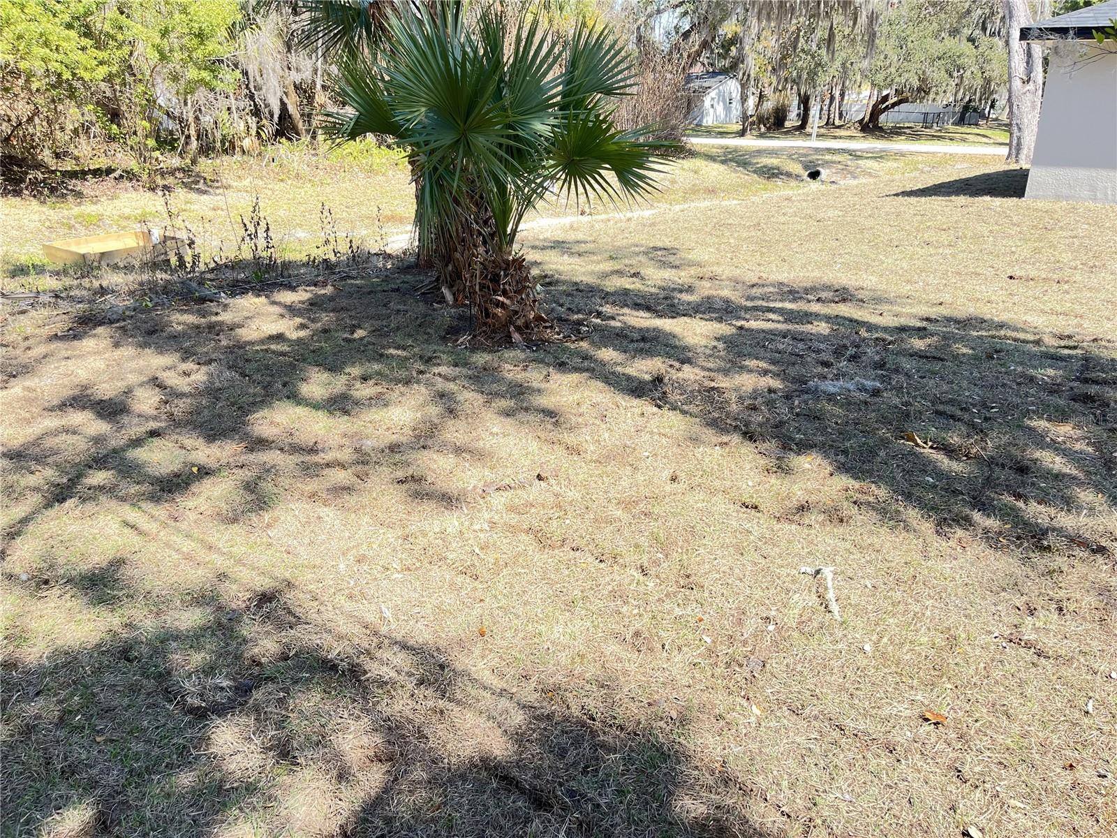 FLORIDA SHORES 01 - Residential