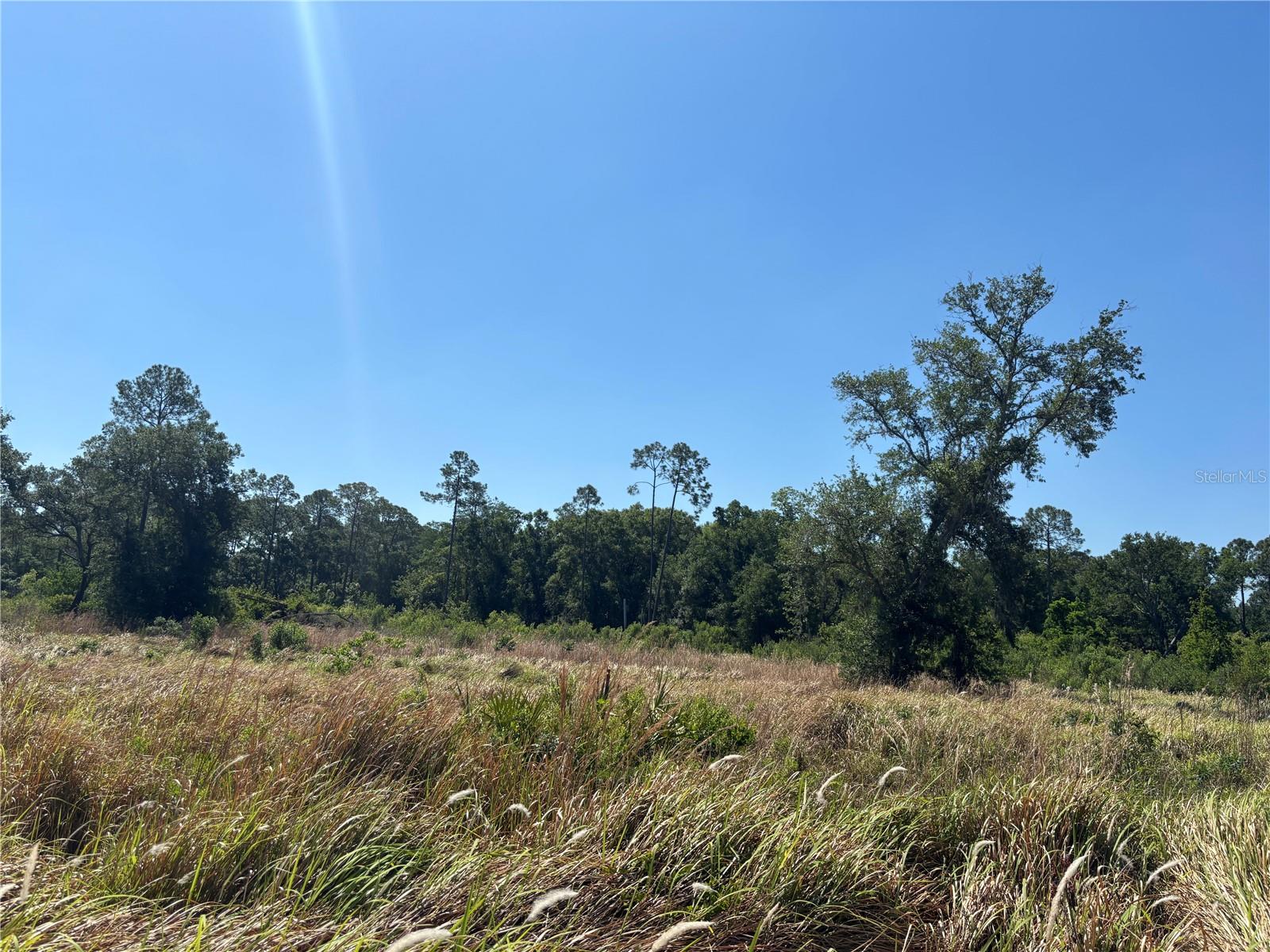 TOWN OF CITRUS PARK - Land