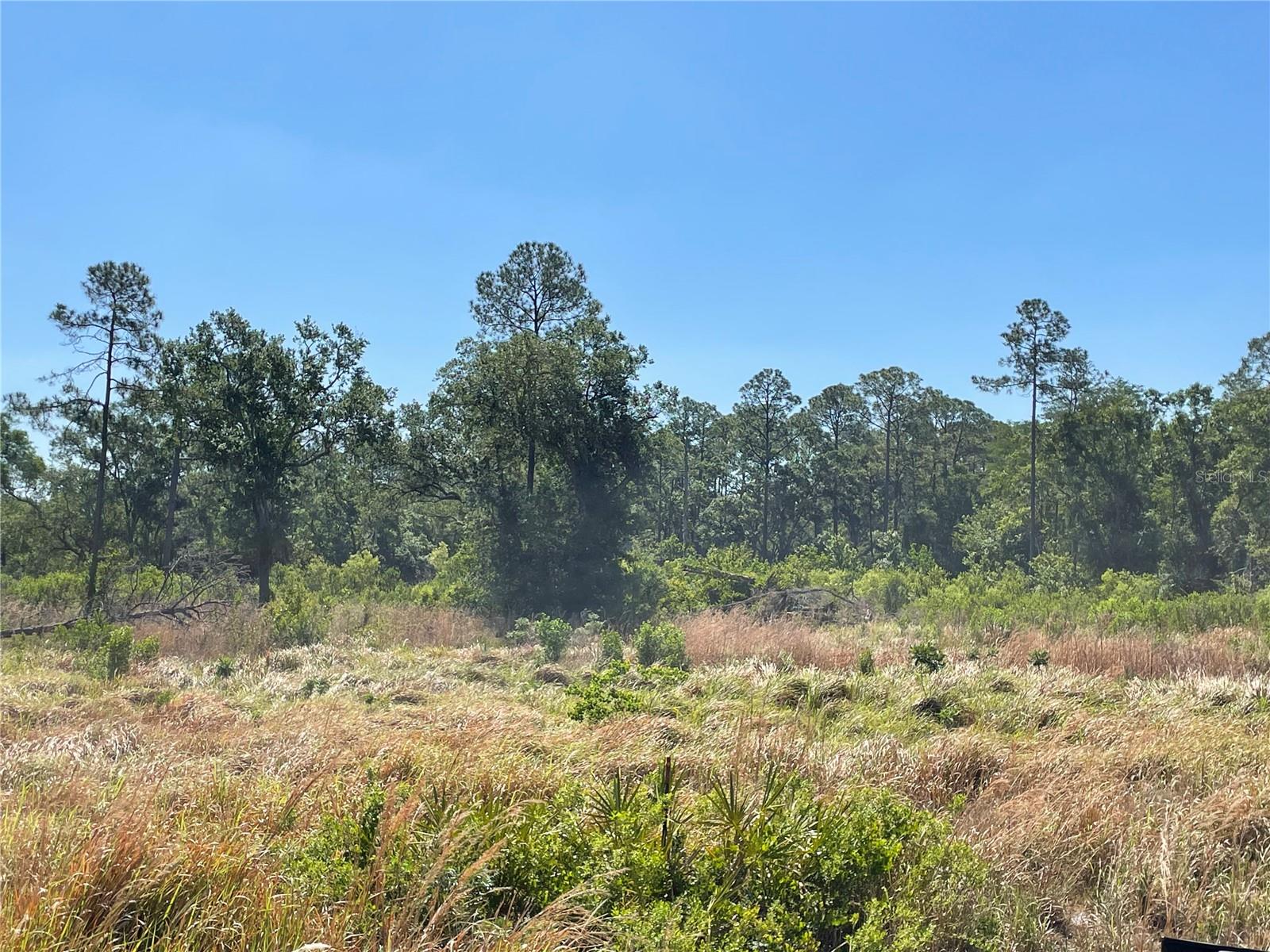 TOWN OF CITRUS PARK - Land