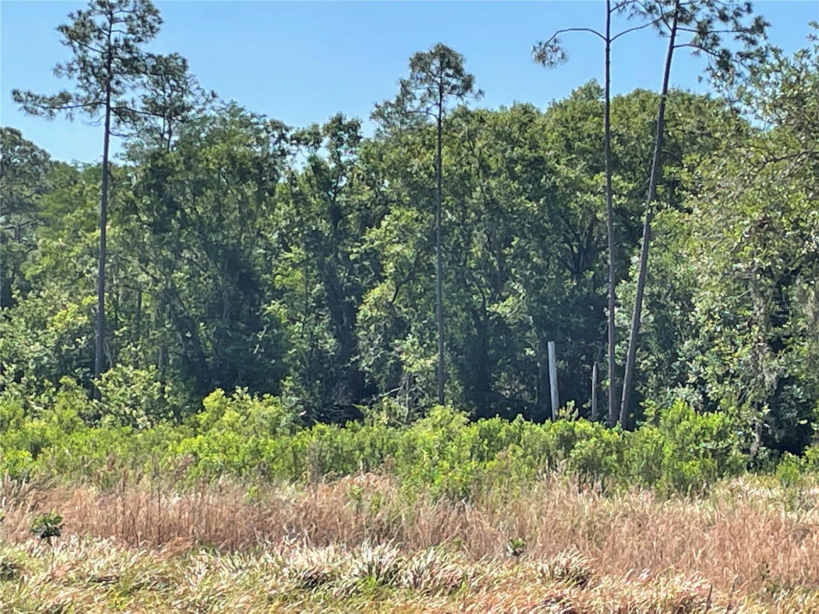 TOWN OF CITRUS PARK - Land