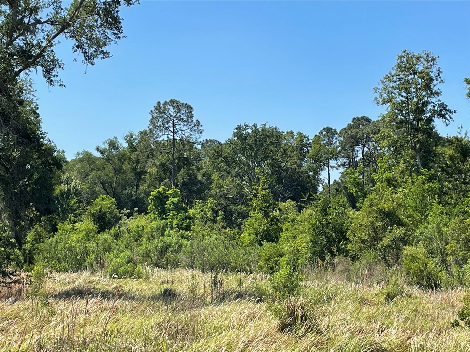 TOWN OF CITRUS PARK - Land