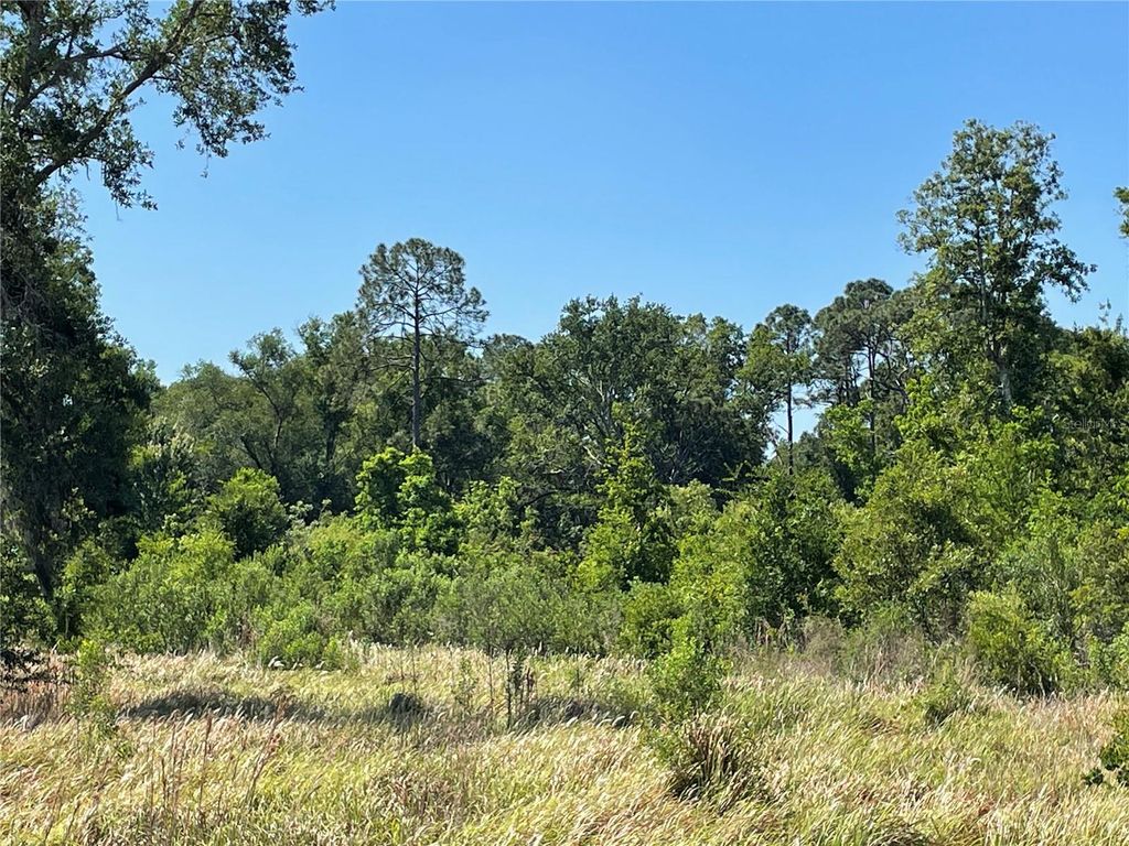 Photo of Avonwood, Tampa, FL 33625 (MLS # S5148247)