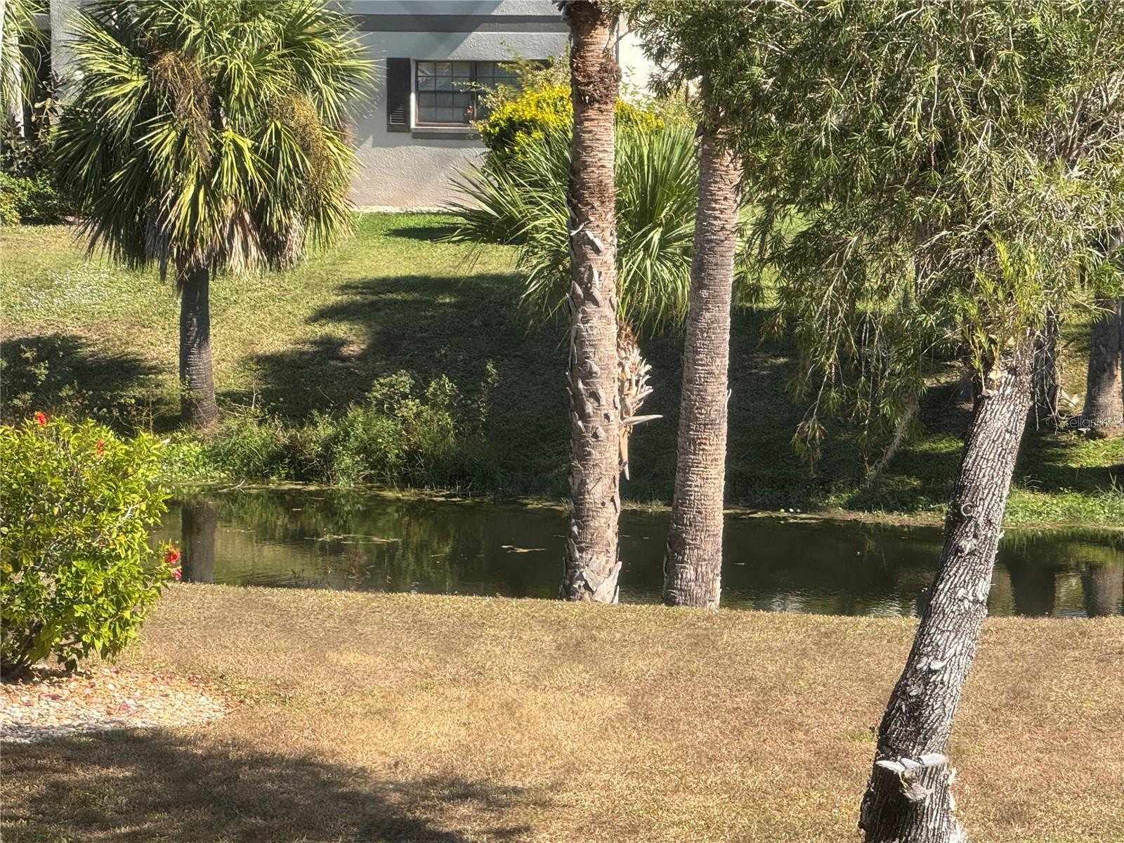 OAKS 04 - Residential