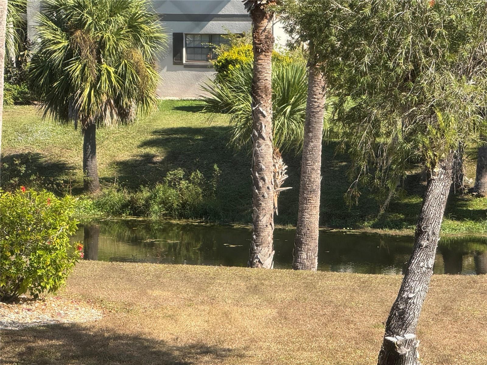 OAKS 04 - Residential