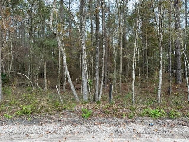 Don't miss this golden opportunity to own a substantial 10-acre parcel in the rapidly developing are south of Lake City. This property is conveniently located near the Price Creek Area, with a serene creek flowing close to the property line, adding to its natural charm. The area is buzzing with new development, making it a hot spot for investors and homeowners alike. Act fast, as this property won't last long on the market! One of the key advantages of this property is the absence of Deed Restrictions and HOA, offering you the freedom to utilize the land as you see fit. Whether you're looking to place a manufactured home, a modular unit, or build a site-specific home, the choice is yours. Invest in your future today with this promising real estate opportunity. The area is HOT, so buy it while you still can! Contact us for more details.