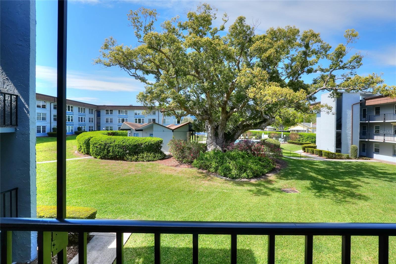 333 LAKE HOWARD DRIVE NW 203C