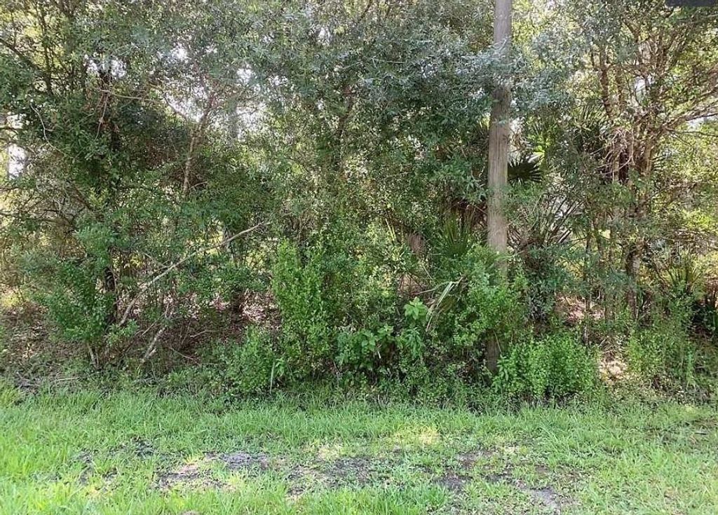 Photo of Gainesboro Street, North Port, FL 34291 (MLS # C7521002)