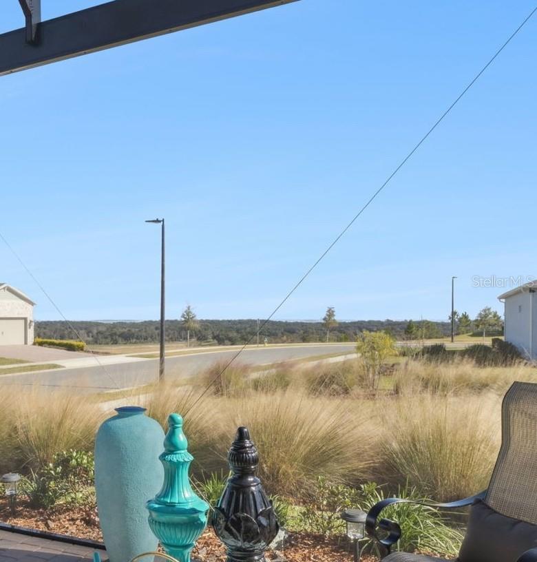 DEL WEBB MINNEOLA - Residential