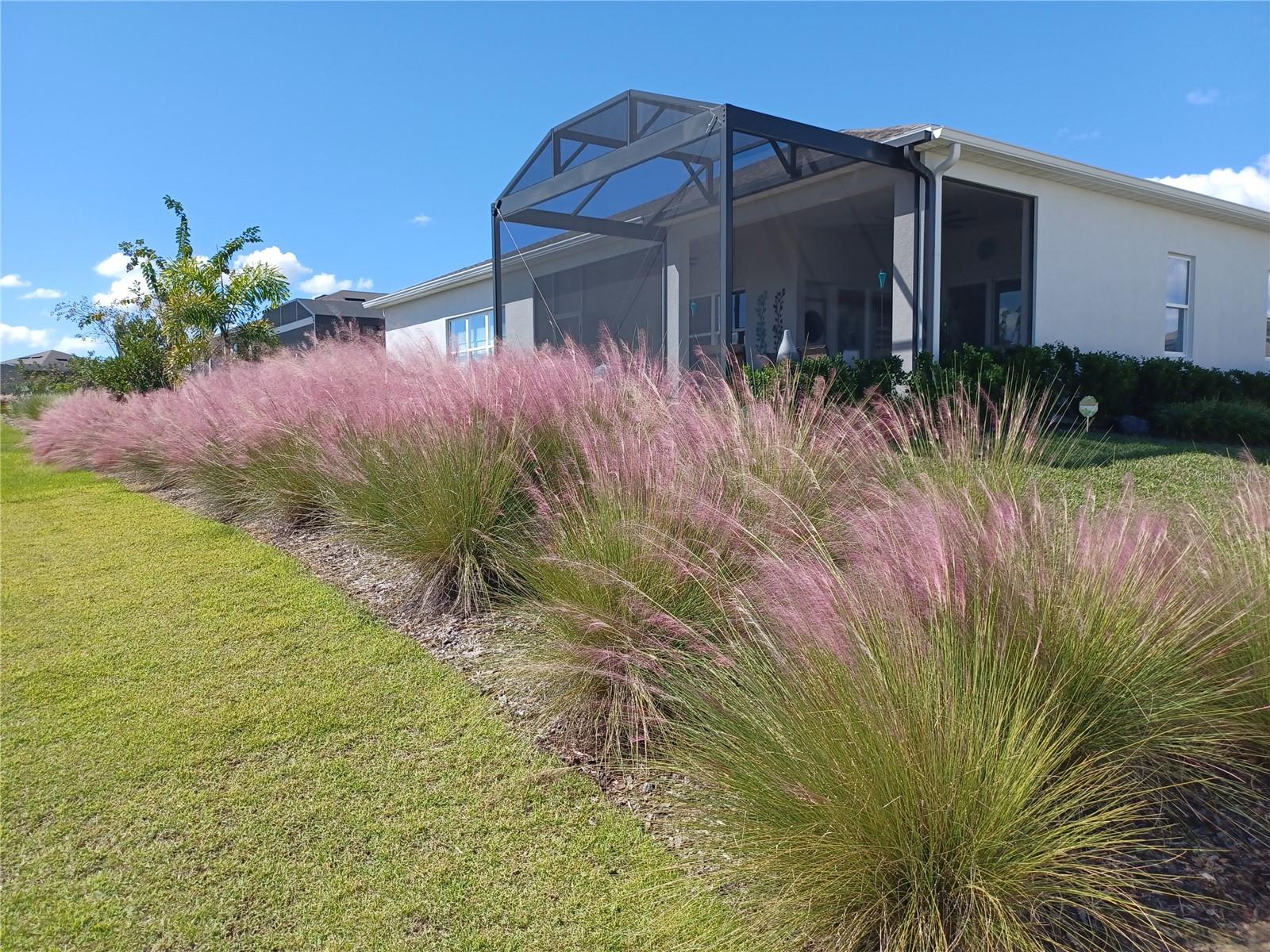 DEL WEBB MINNEOLA - Residential