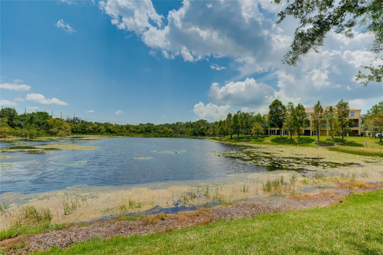 WILLOWBROOK PH 8 - Residential Lease