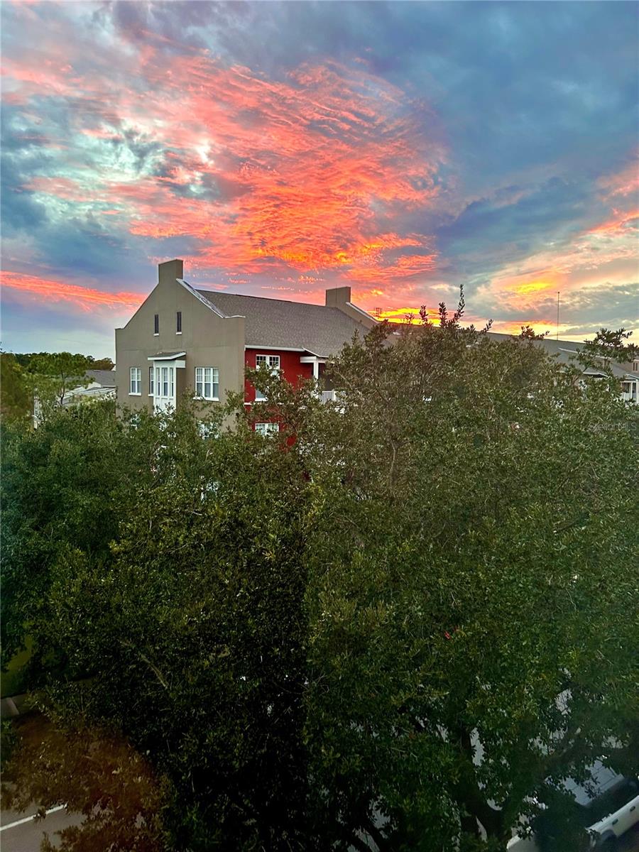 1401 CELEBRATION AVENUE 401