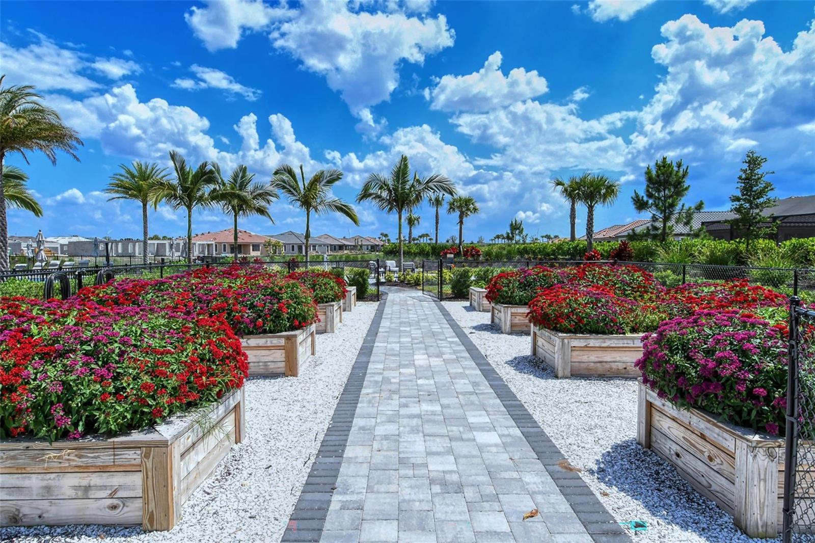 ESPLANADE PH III A, B, C, D, J&PART OF F - Residential