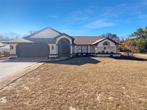 Photo of 10244 Hoover Street, Spring Hill, FL 34608 (MLS # O6381845)