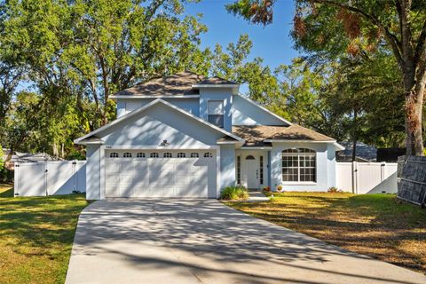 A home in KISSIMMEE