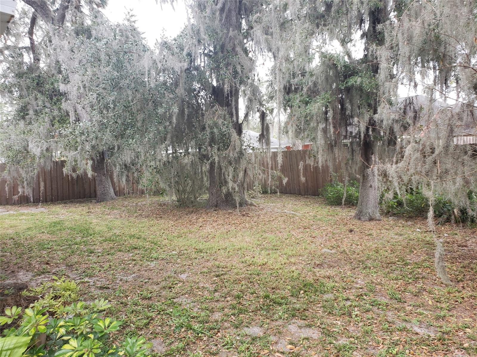 Florida Shores 01 - Residential