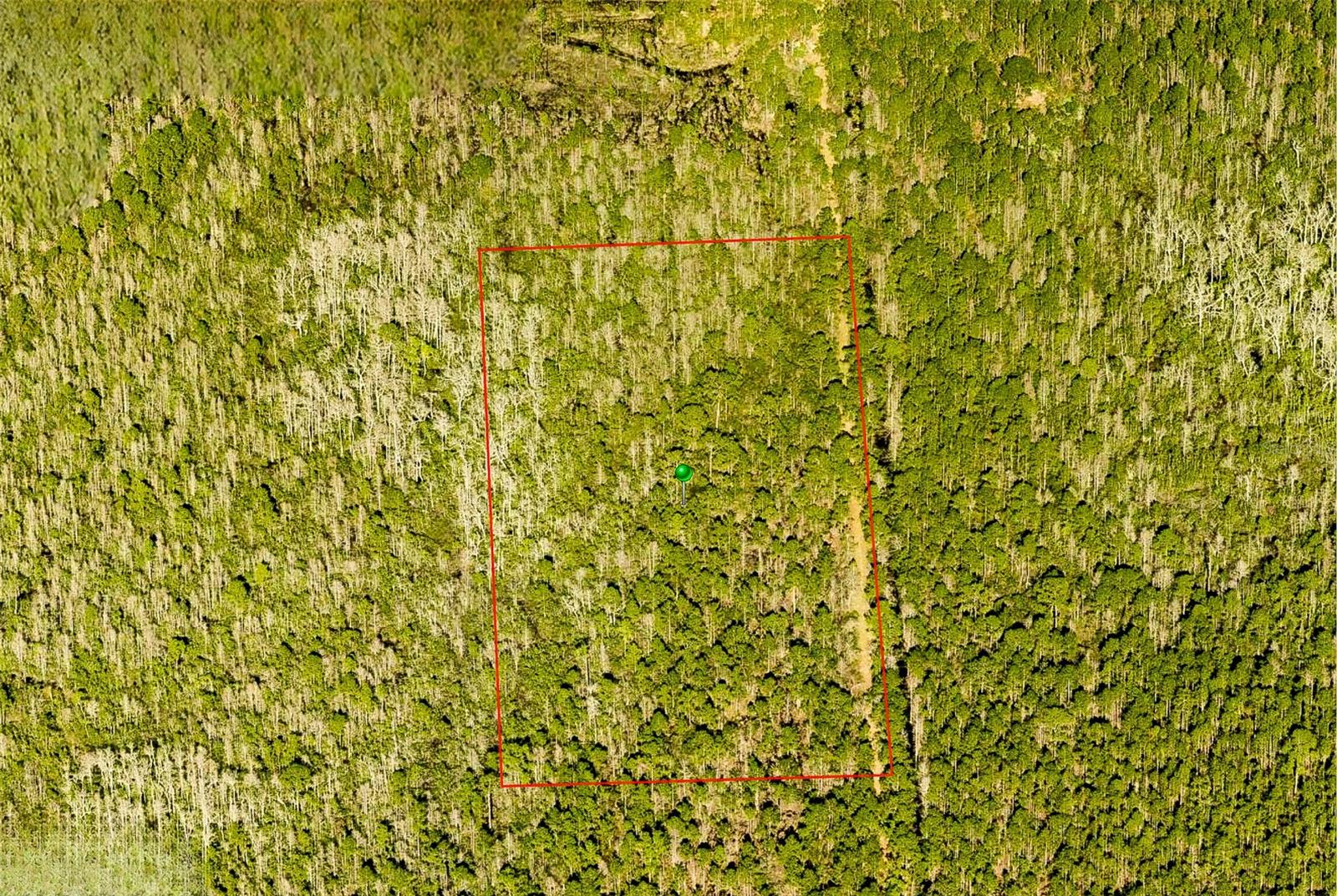 Double lot available in the quiet University Highlands area of DeLand. Surrounded by natural Florida landscape, this property offers space and privacy with easy access to nearby amenities and major roadways. A great option for long-term investment or your future plans. Buyer to confirm land use and development options with the county. Come see it today! SELLER FINANCING AVAILABLE.