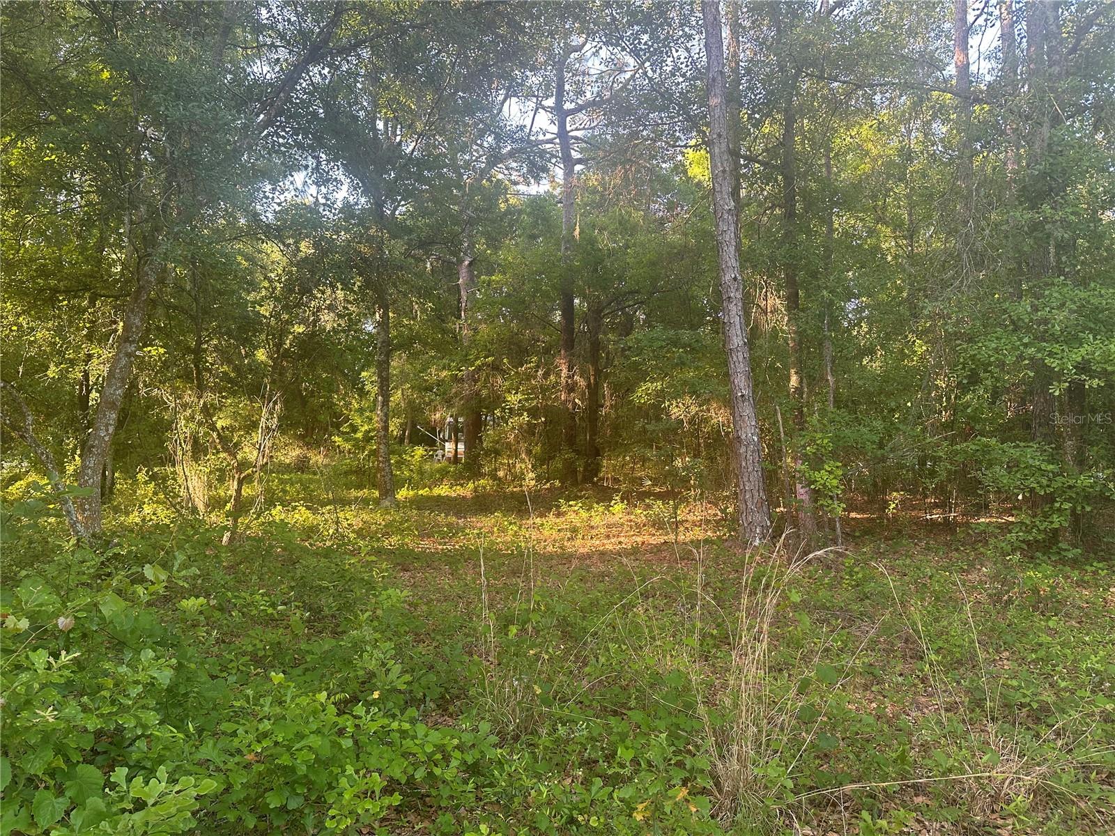 Build your dream home or put a mobile home on this beautiful corner lot located in North Lakeland, this 3/4 of an acre is not too far from I four to commute from Tampa or Orlando. Publix is less than 2 miles away. Shopping doctors office everything close. Nice size trees on the property for shade. Great corner lot call today.
