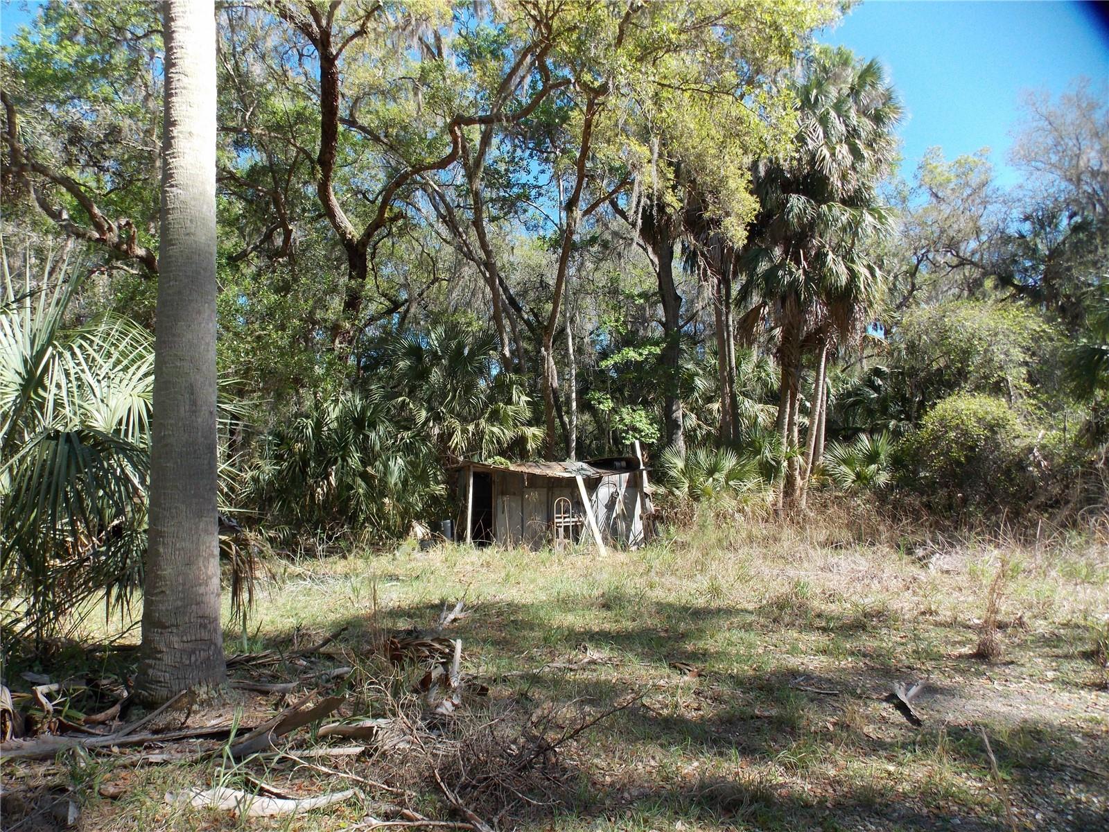 LEITNER TR E LEVY GRANT - Residential