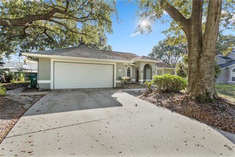 A home in WINTER GARDEN