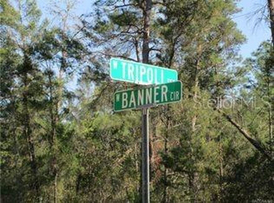 Beautiful property to build your dream home on