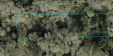 SHERMAN STREET BUNNELL FL 32110