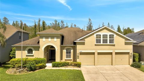 Single Family Residence in ORLANDO FL 10503 SPARROW LANDING WAY.jpg