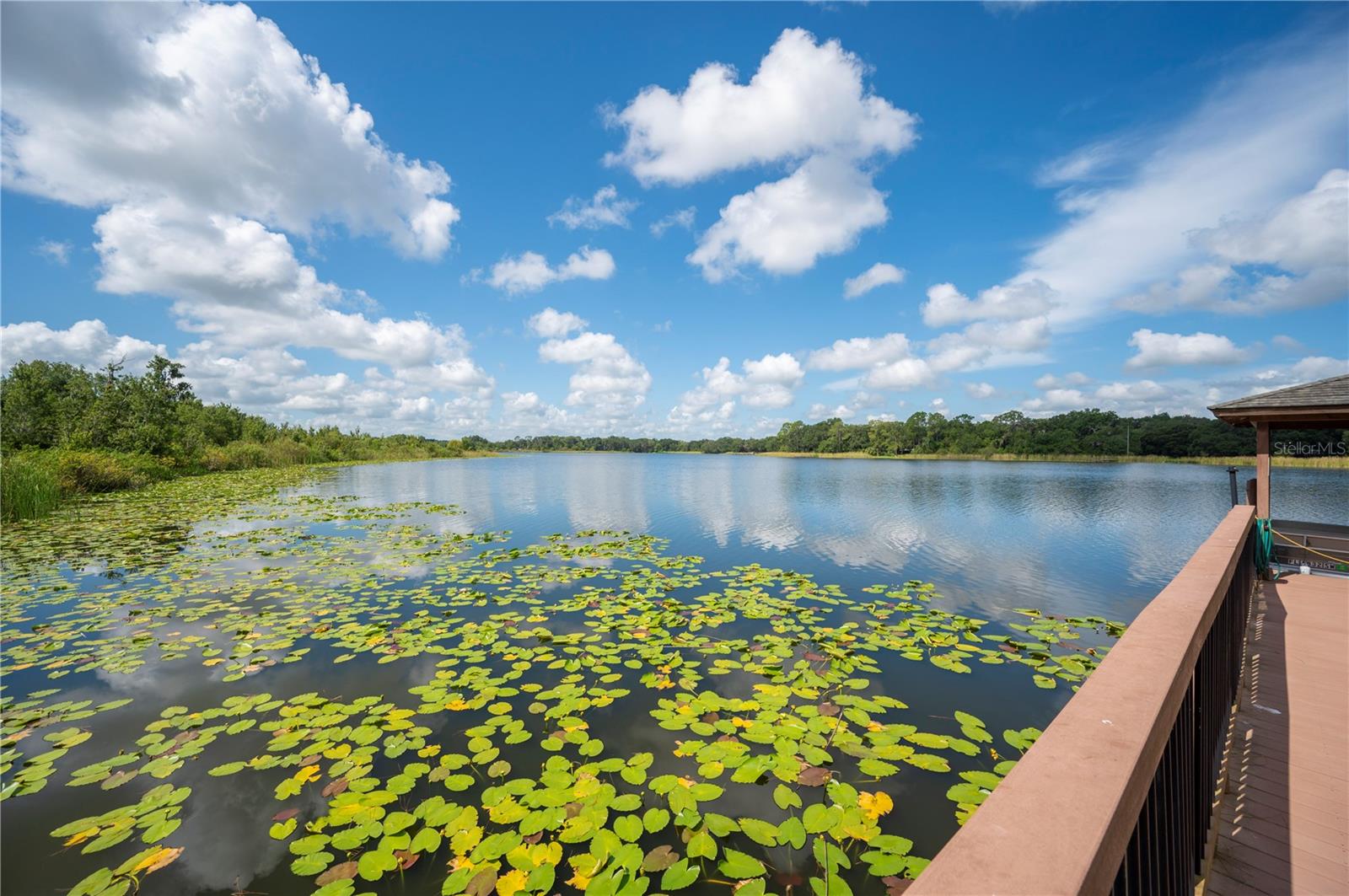 MOUNT OLIVE SHORES NORTH - Residential