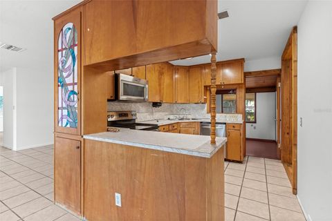 Tiny photo for 803 Carol Court, Tavares, FL 32778 (MLS # G5112392)