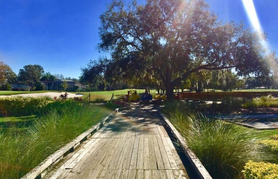 INDIAN LAKE ESTATES - Land