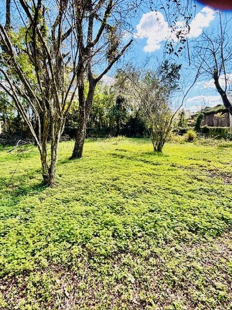LAND VALUE ONLY !!! Water, Septic and Electric Available. Save on Impact Fees !!! This Mobile Home Will Need to Be Removed. NO HOA NO CDD and No Deed Restrictions So You Can Bring All Your Vehicles, Boat, Toys Etc. Huge Lot With Private Easement Driveway Located Close to Shopping, Restaurants, Hospital and Parks. 1 Hour to Disney, Tampa International Airport, Beaches and Major Sports Venues.