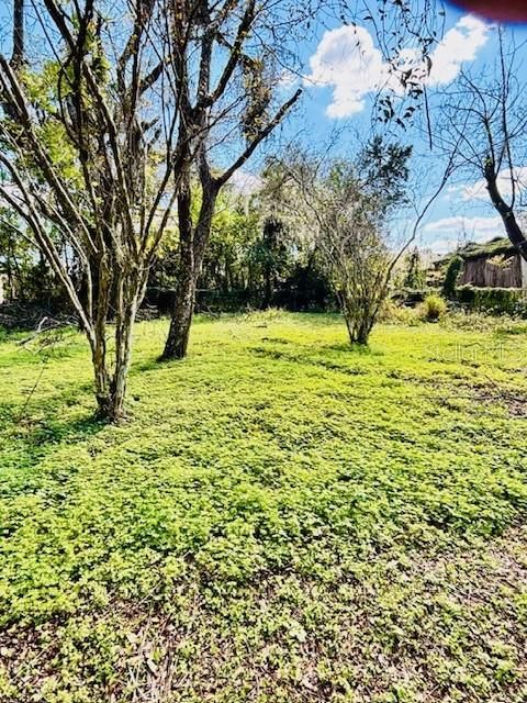 Photo of 35441 Francine Drive, Zephyrhills, FL 33541 (MLS # TB8411572)