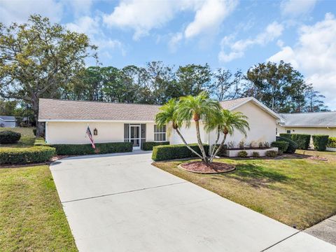 3132 BRUNSWICK CIRCLE PALM HARBOR FL 34684