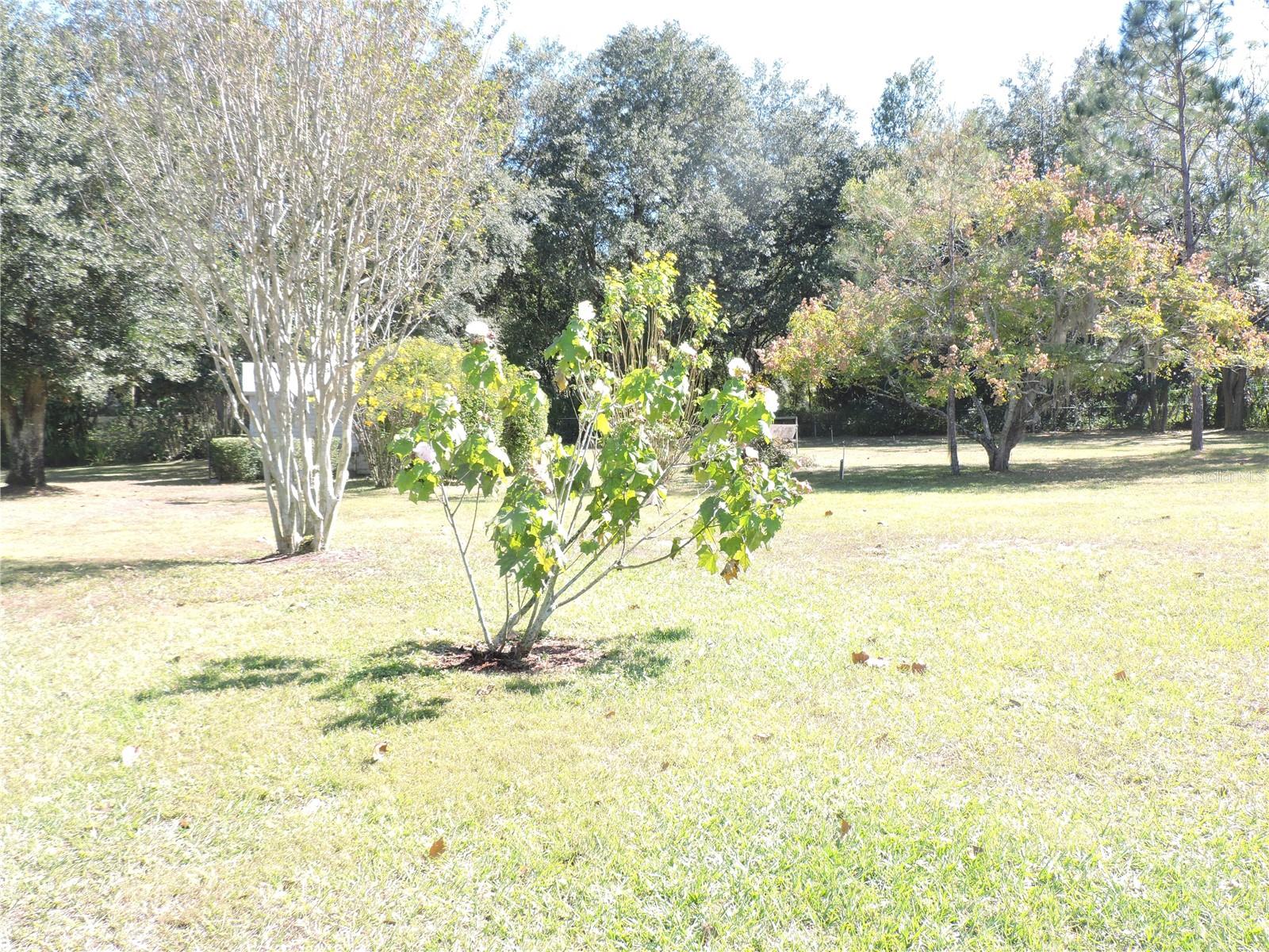 FAIRMONT - Residential