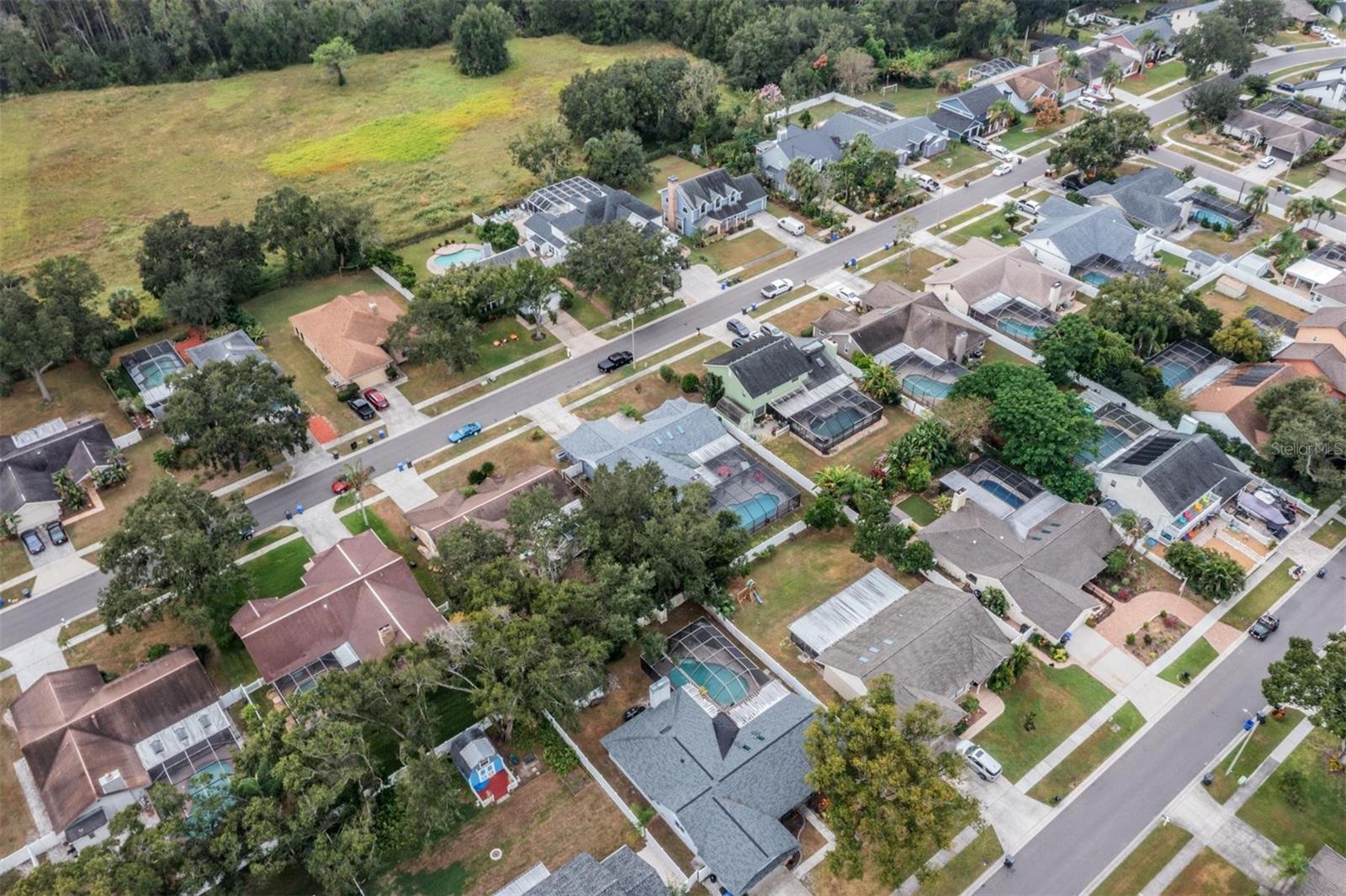 BLOOMINGDALE OAKS - Residential