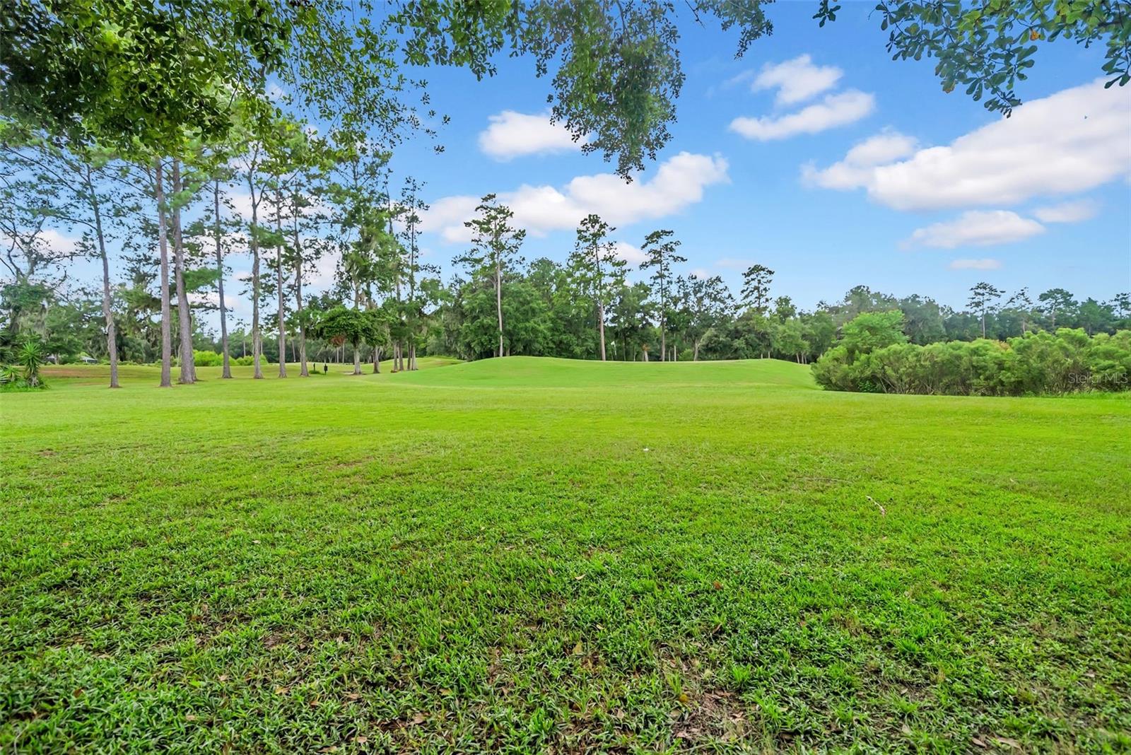 HERNANDO OAKS PH 1 - Residential