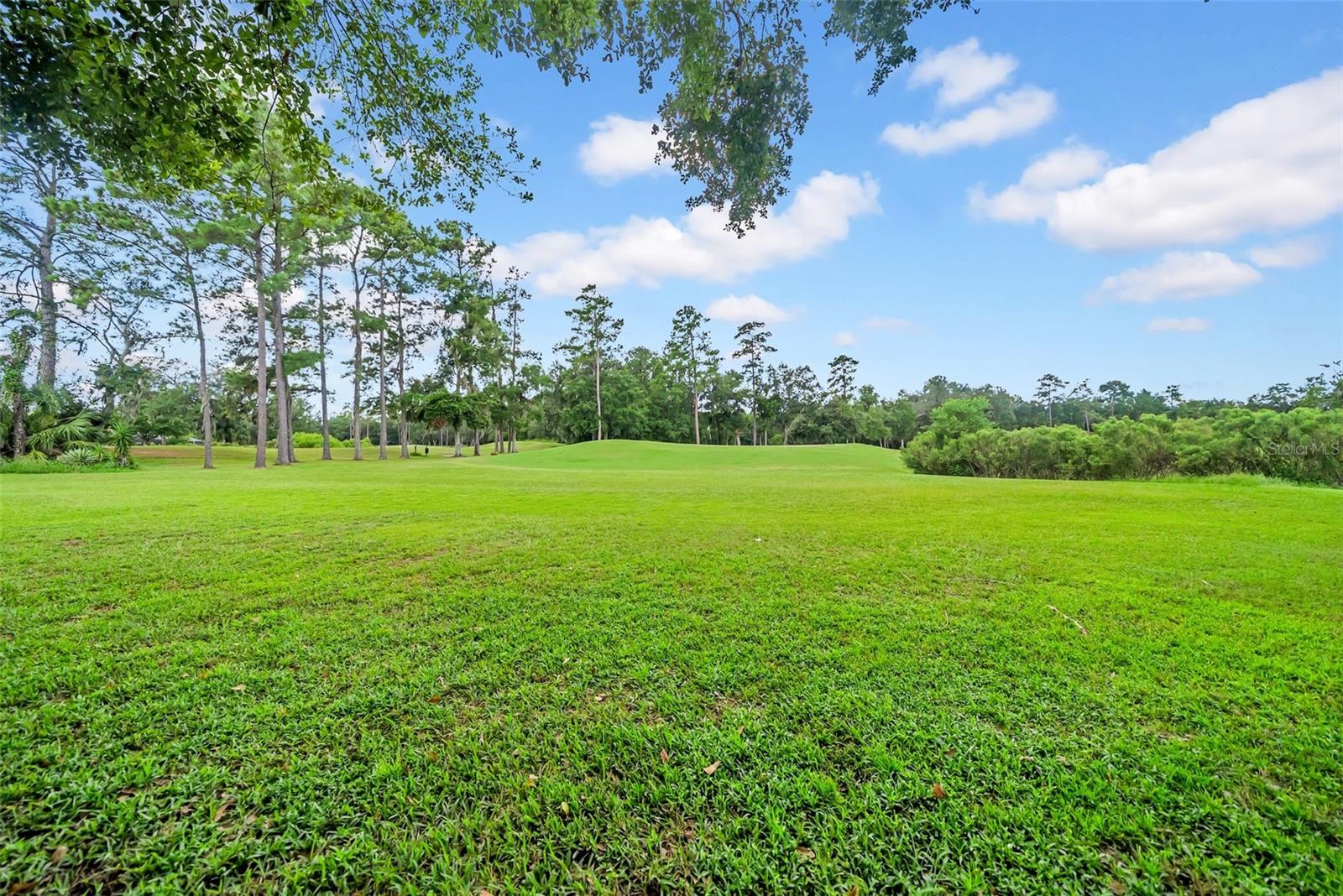HERNANDO OAKS PH 1 - Residential